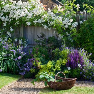 english country garden with gravel pathway and flowering plants
