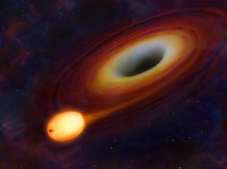 Artist’s impression of a star about to be ripped apart by a massive black hole.
