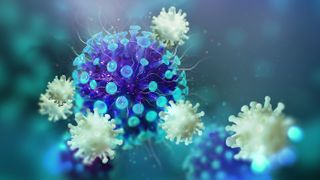 Your immune system finds and destroys viruses in the body, and it will remember invaders it has seen before.