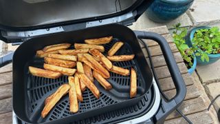 cooked fries in the ninja woodfire