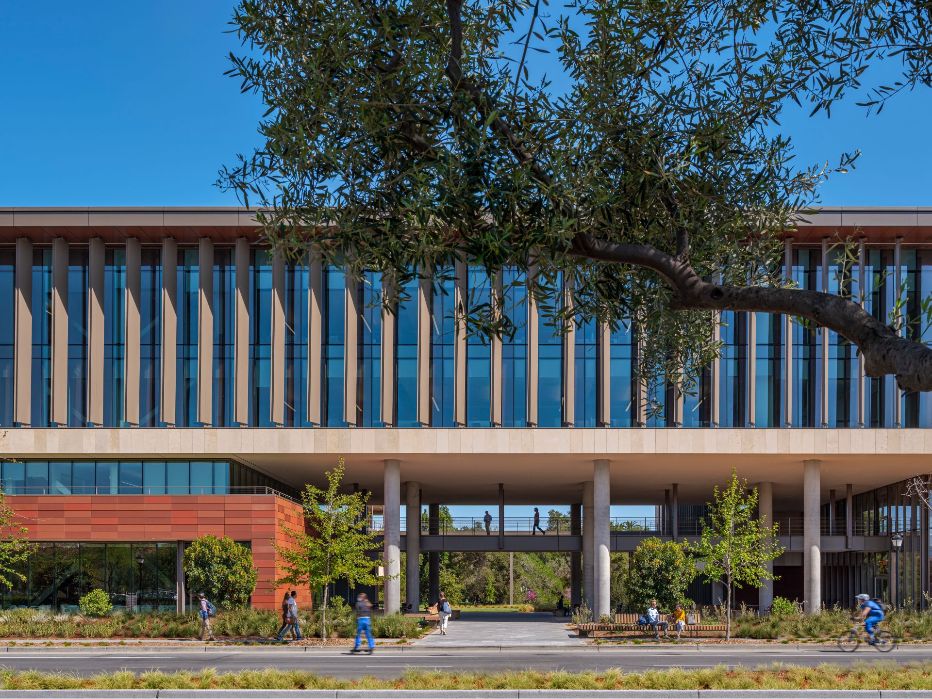 Office design: the latest trends in workspace architecture