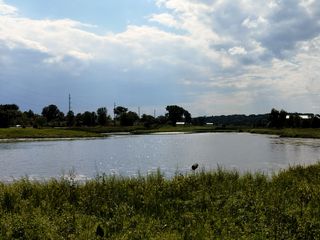 OnePlus Nord N200 5G camera samples