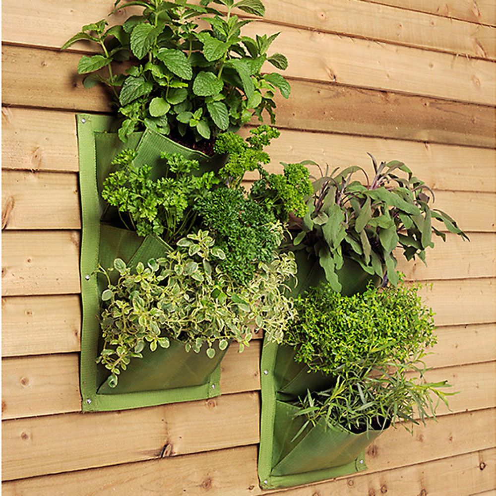 Herb garden ideas create a cook’s herb garden you’ll actually use