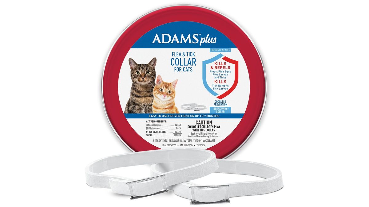 Best flea collars for cats 2024 to keep biting insects at bay PetsRadar
