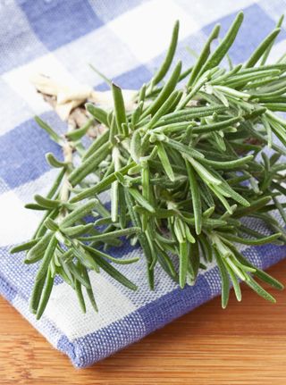 Rosemary