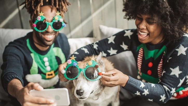 Pet safety at Christmas. A dog enjoys Christmas with his owners