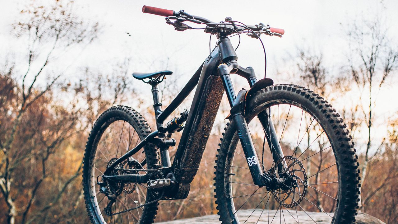 Cotic Eeeeeb e-mtb