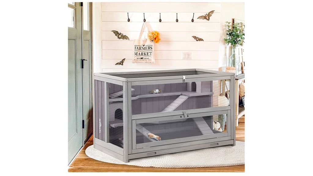 Photo inspiration: Fresh Look at Best Hamster Cages 2023 For A Cozy And Comfortable Home