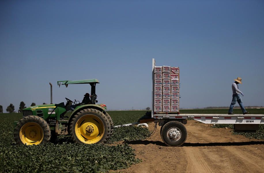 New studies suggest humans&amp;#039; skeletons became more fragile with switch to farming