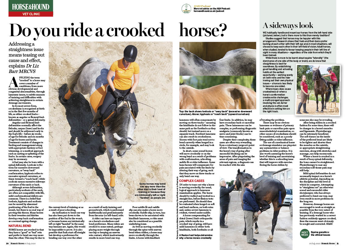 VET 2PP (16 7) Crookedness