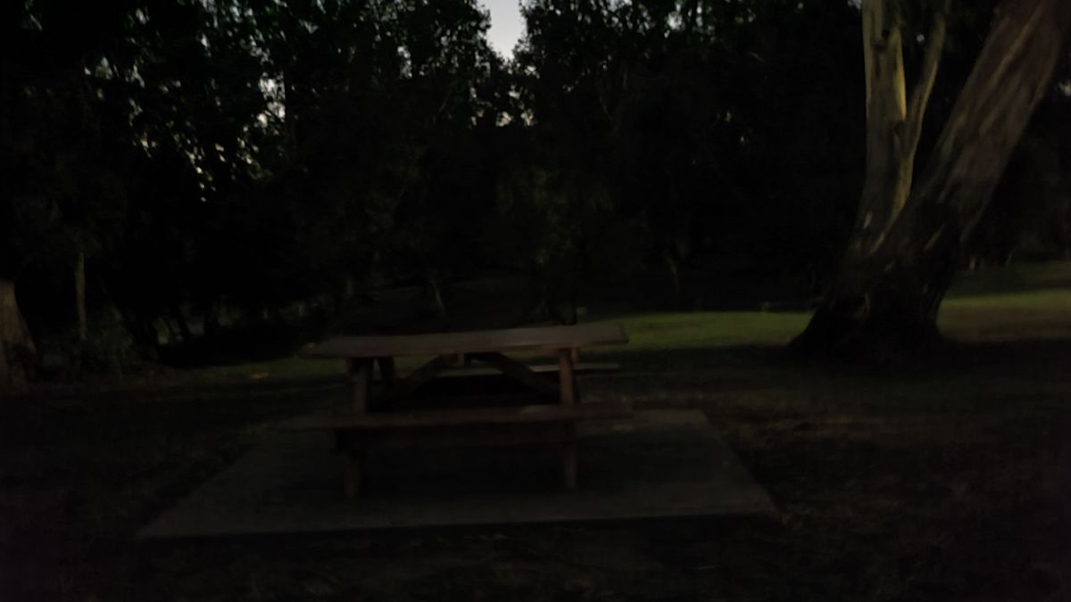 Samsung Galaxy S20 Plus camera samples
