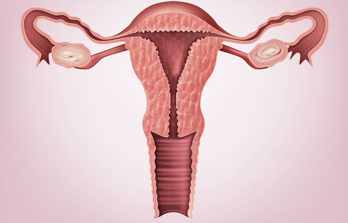 Vagina Pic