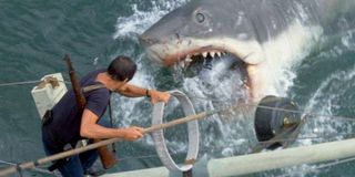 Jaws shark attacks the boat