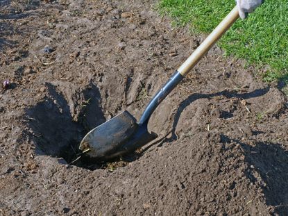 Person Digging Hole In Dirt With A Long Handled Shovel