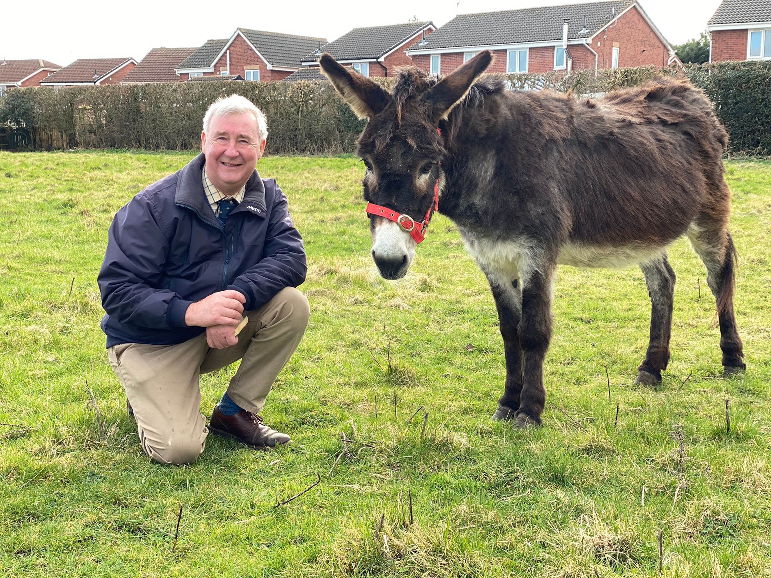 Peter has just the solution for this lonely donkey!