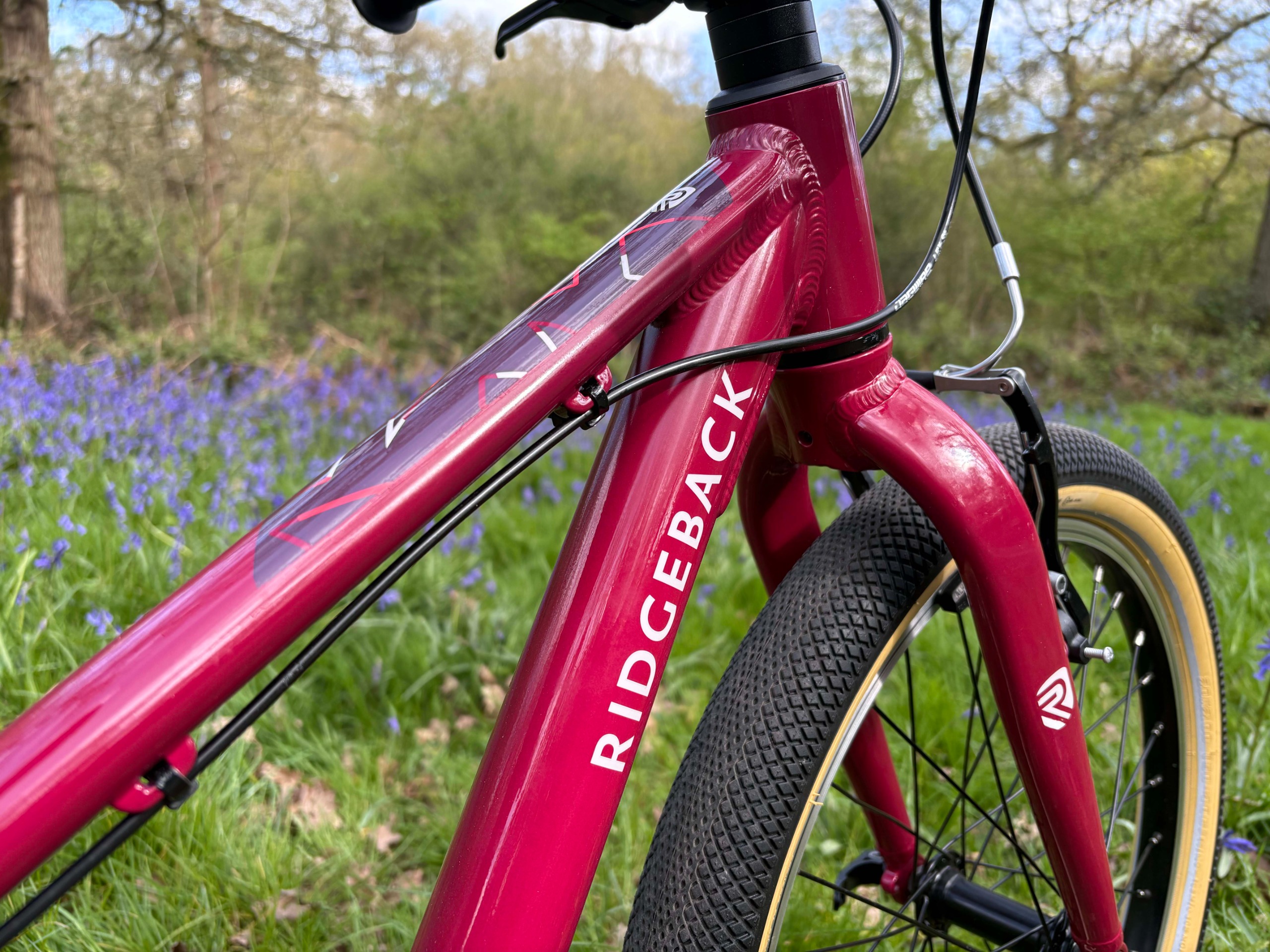 Ridgeback Dimension 20 children's bike