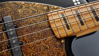 Close up of bass strings