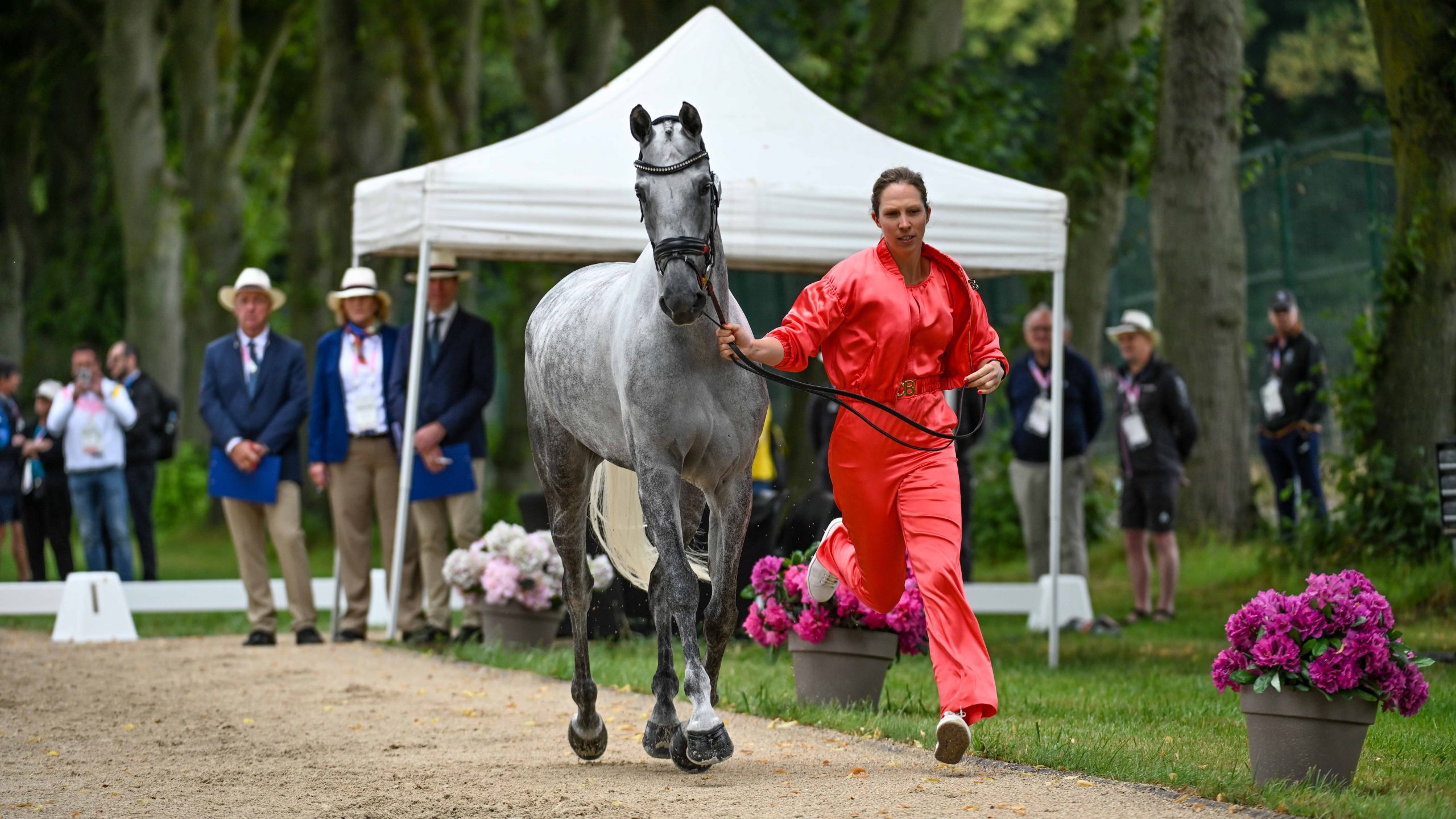 Olympic eventing first trot-up photos: Tine Magnus