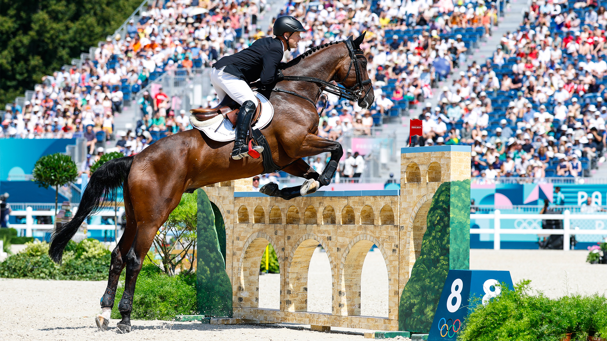 Michael Jung showjumping FischerChipmunk FSH 