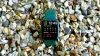 Apple Watch 7