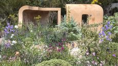 Chelsea Flower Show 2026 The Lady Garden Foundation