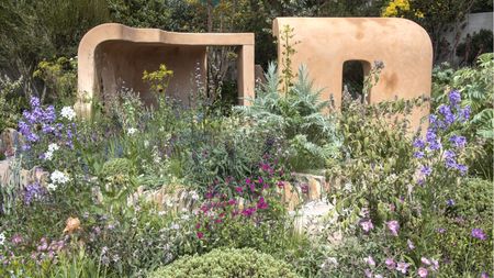 Chelsea Flower Show 2026 The Lady Garden Foundation