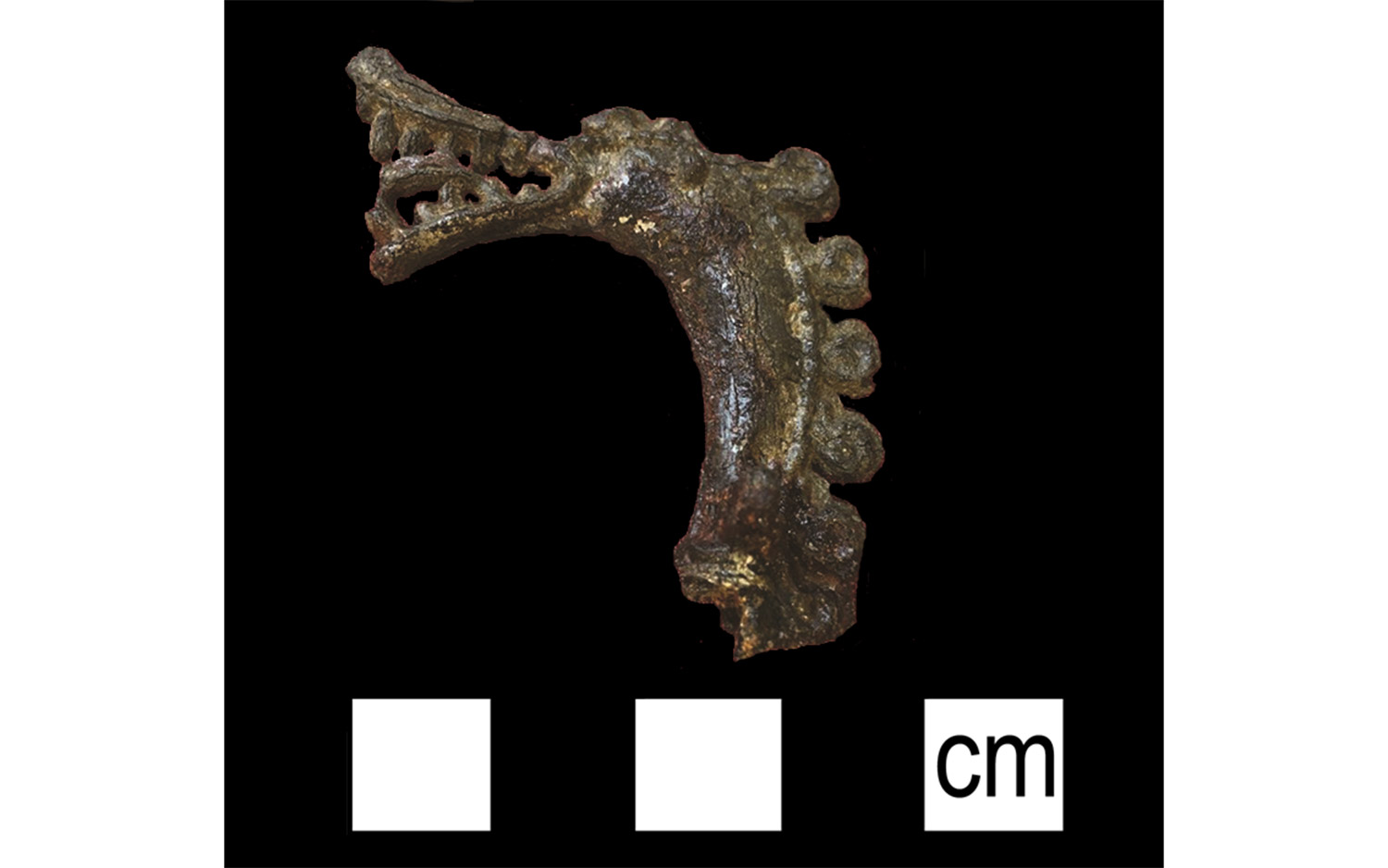 Discovery of Rare Viking Dragon Pin Solves 130-Year-Old Mystery