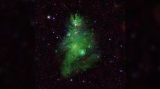 Blue and white stars shine through gas clouds of gas and dust like fairy lights shining through the pine needles of a Christmas Tree