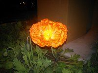 Flash with Autofocus
