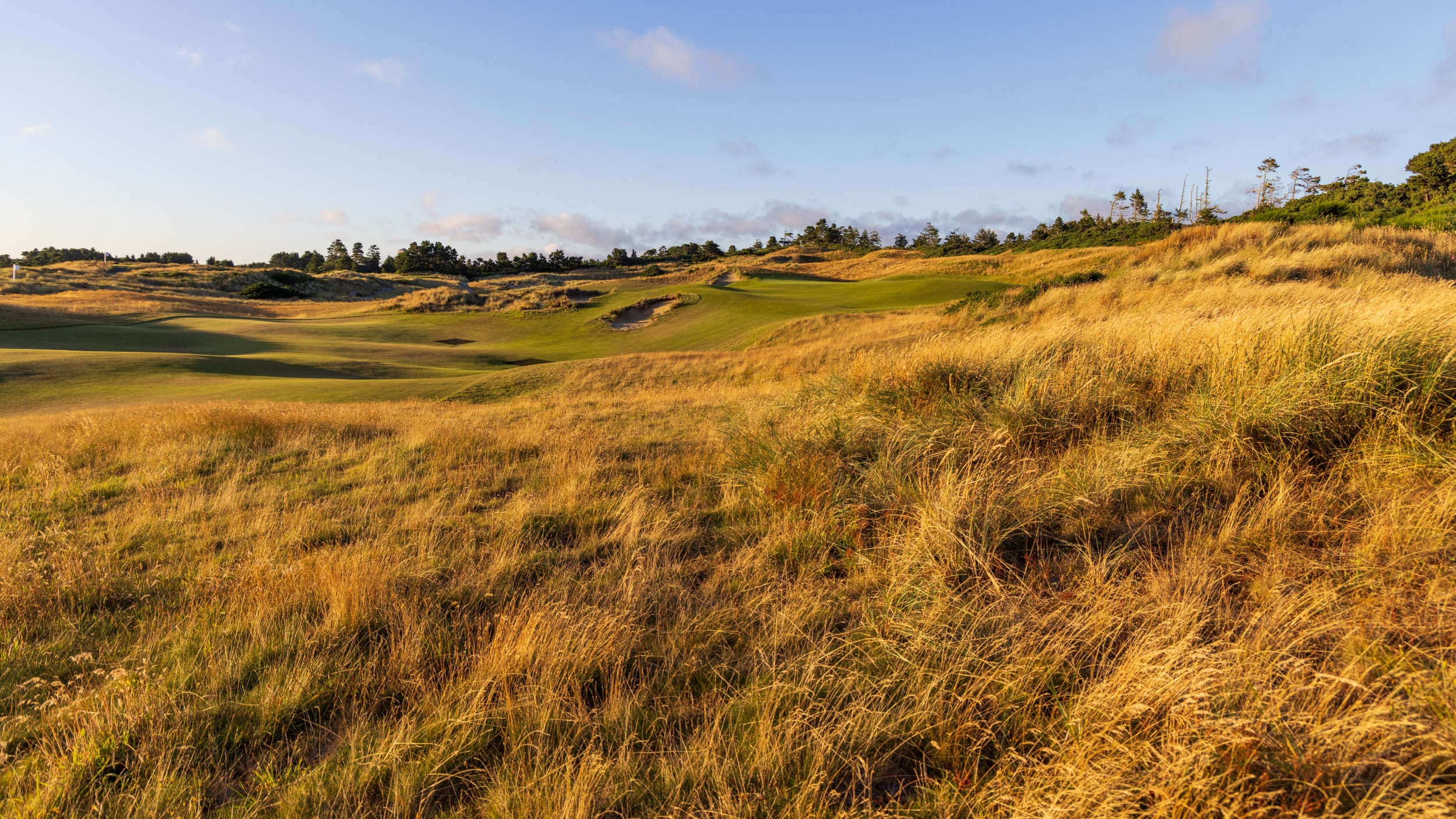A view of Bandon Dunes