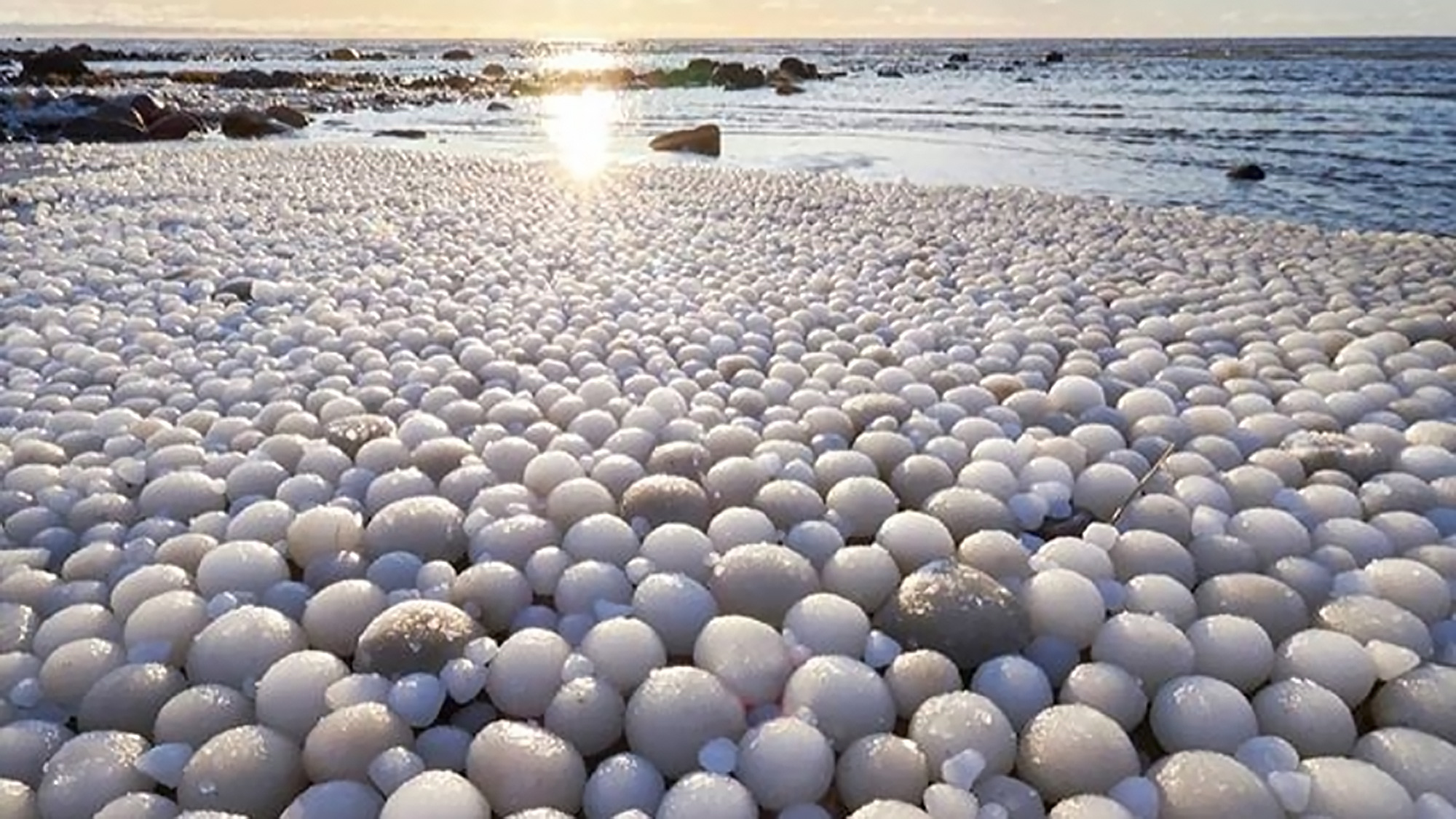 Thousands of Glorious Ice Eggs Wash Up on Finnish Beach Live Science pic picture pic