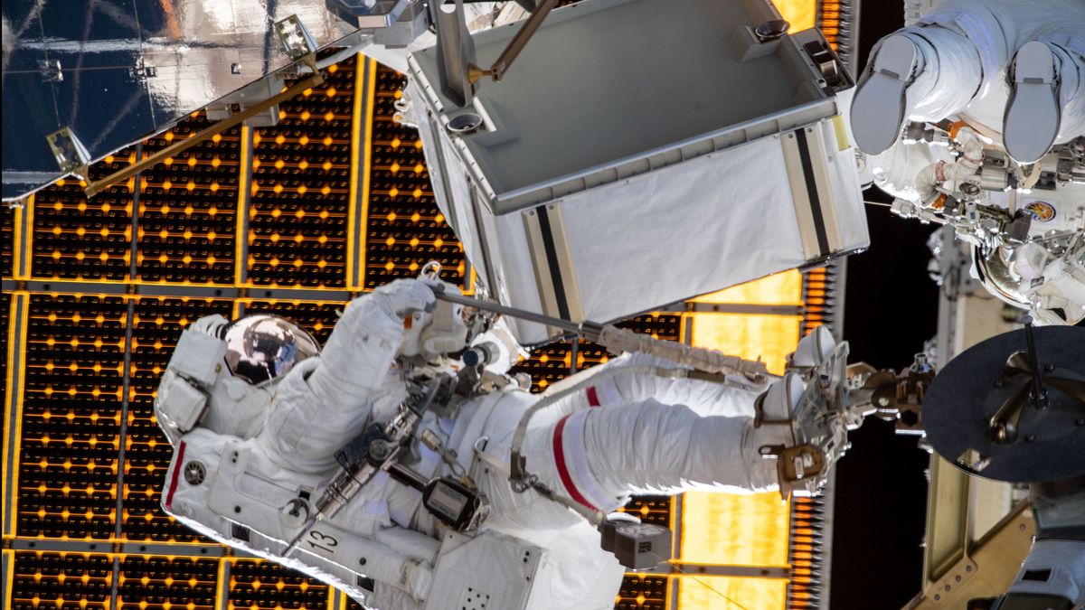 expedition 61 spacewalks