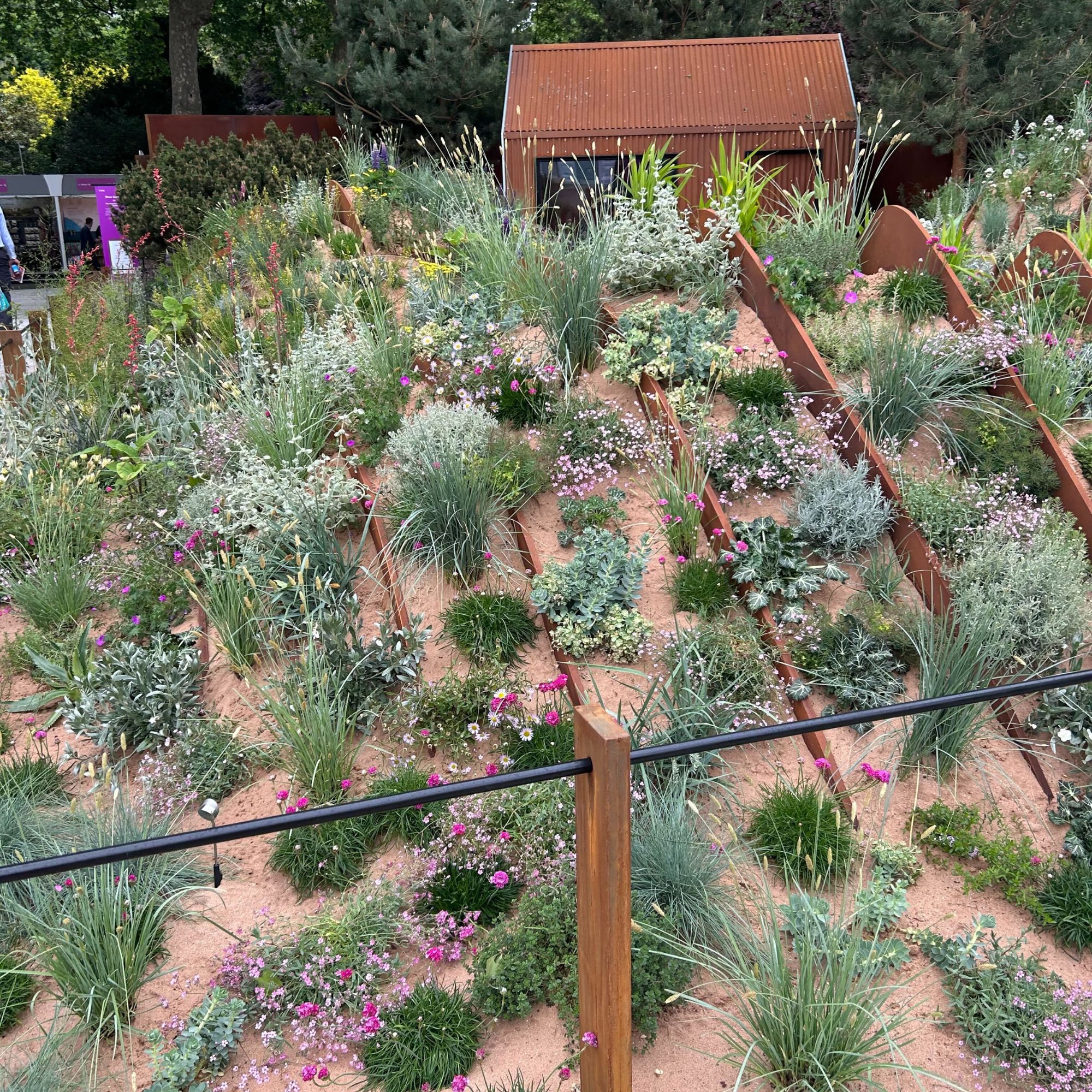 The Hospitalfield Arts Garden at the RHS Chelsea Flower Show 2025
