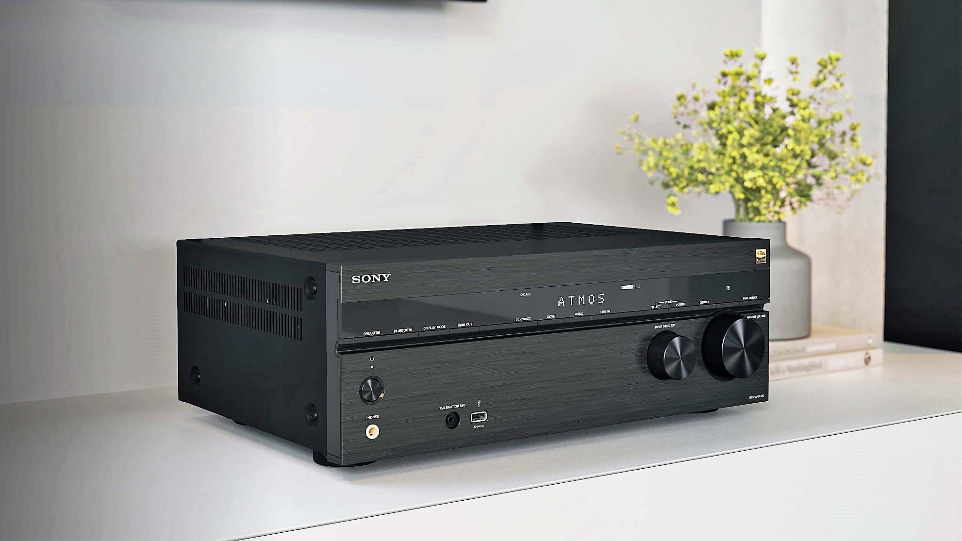 Sony 2024 amp 5.1