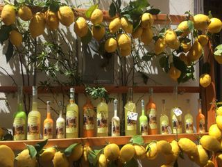 display of lemons and limoncello