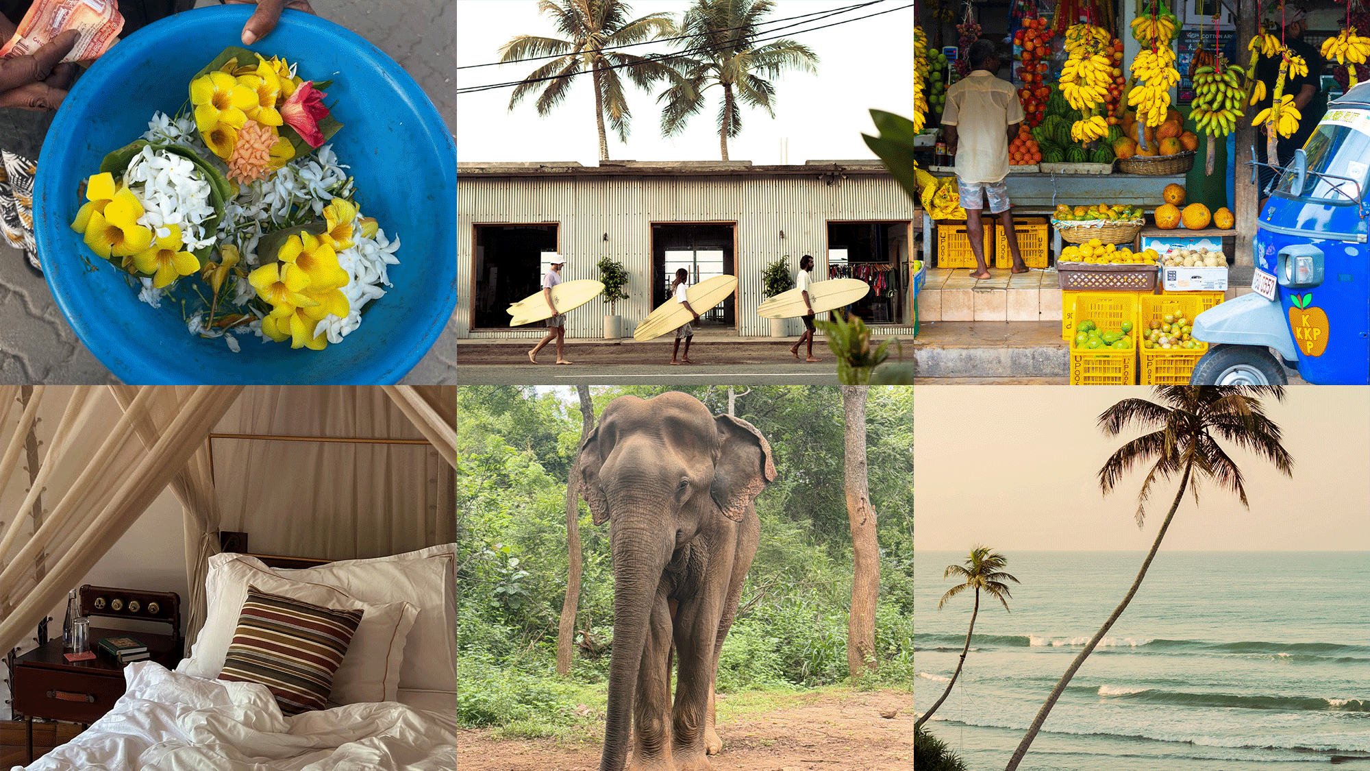 Travel guide to Sri Lanka's south coast.