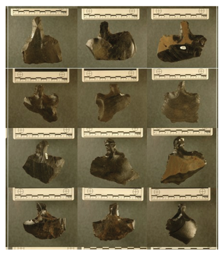 These are images of various mata'a.