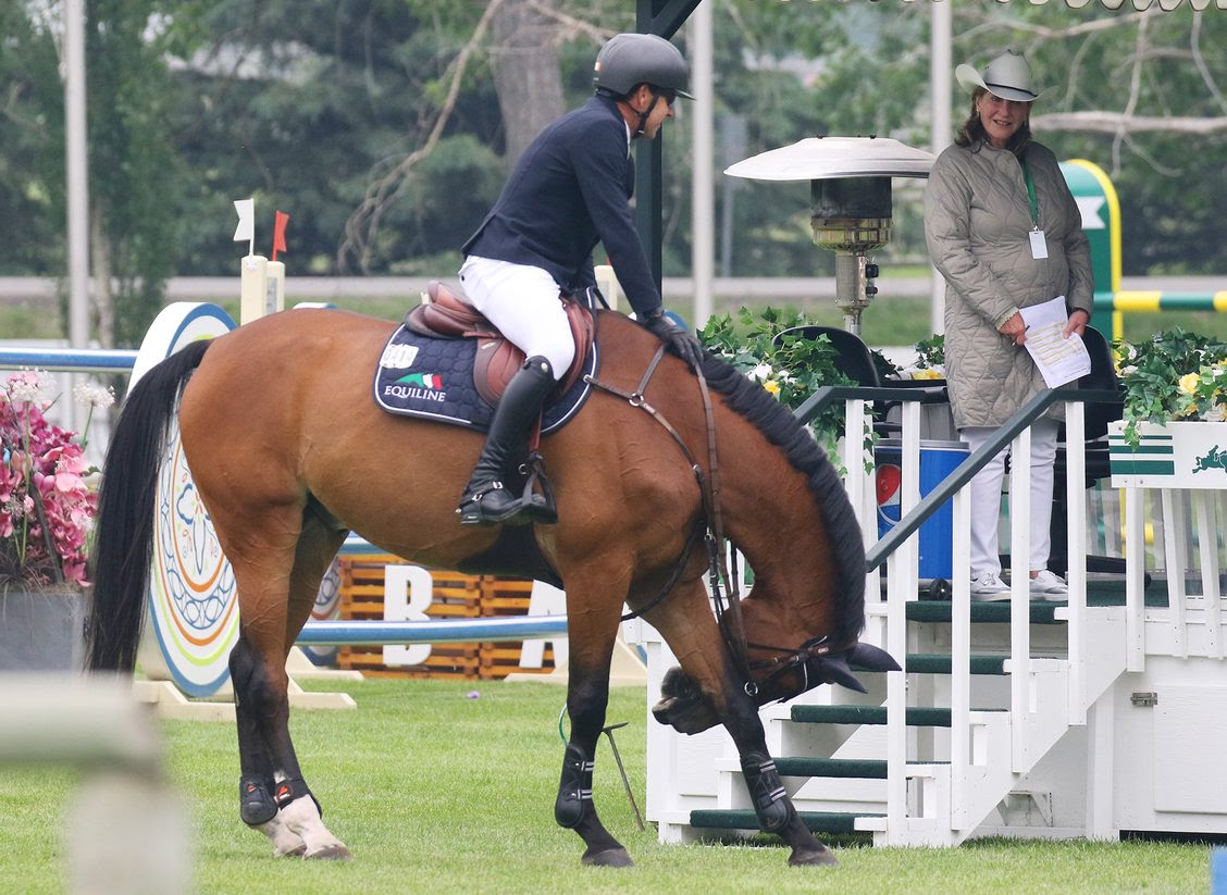 Gamble bows to the judges at Spruce Meadows with Conor Swail in the saddle