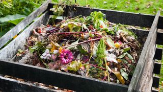 Food scraps in compost