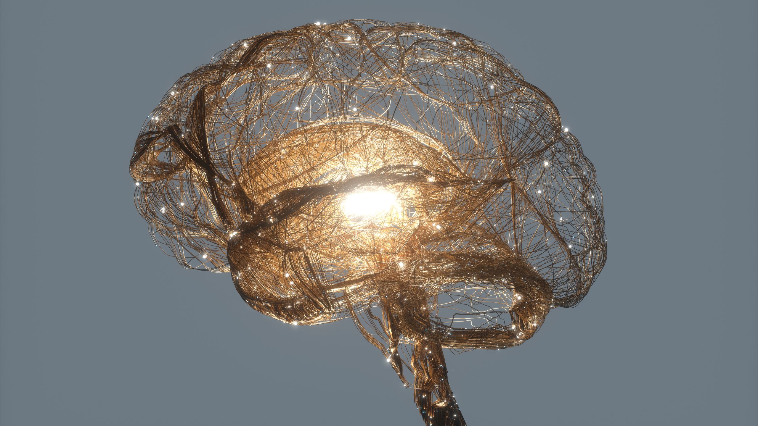 Neuroscientist on evolution of human intelligence