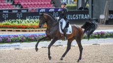 Ingrid Klimke and Franziskus, pictured at the World Dressage Championships 2022