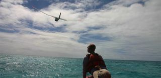 Puma Drone Surveys Hawaiian Wildlife