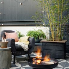 Bamboo in planter next to chair and firepit