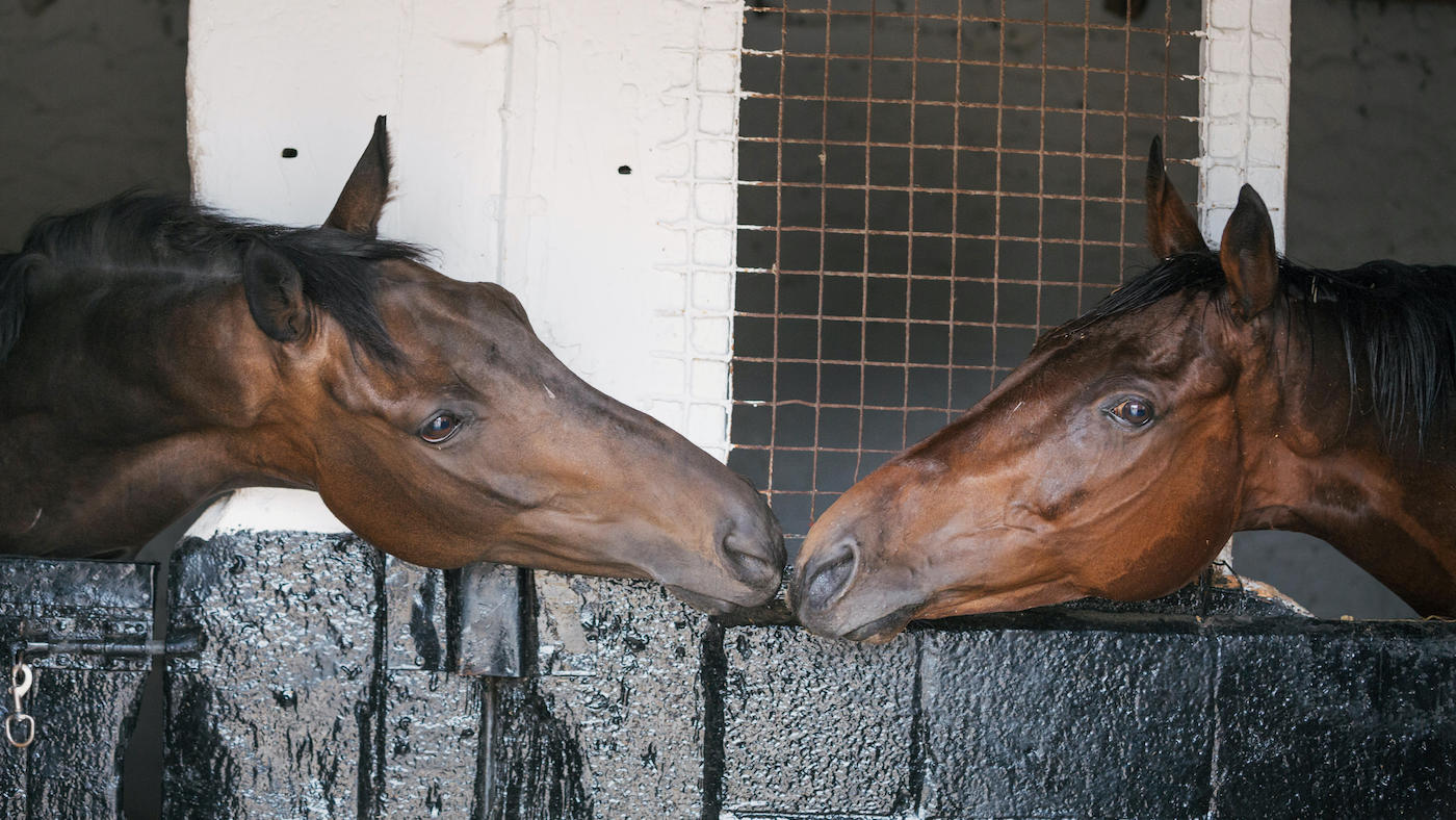 HRJTB2.jpg