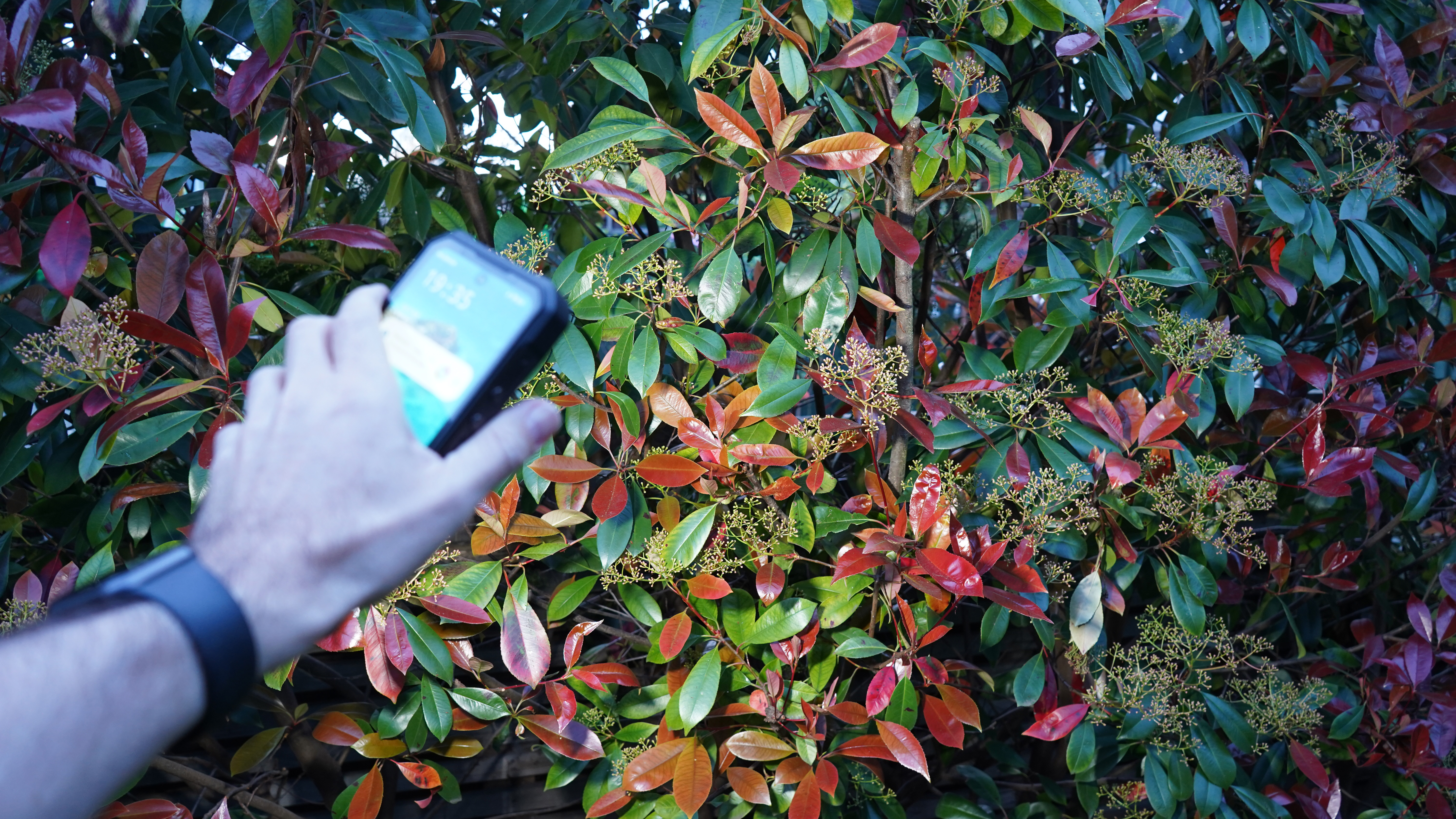 Oukitel WP61 Ultra phone in hand in soft focus, with the camping light being used to light up a bush