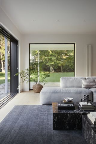 Stewart-Schafer living room windows