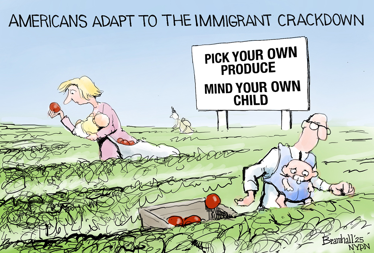 This cartoon is set outside in a fruit field and is titled “Americans adapt to the immigrant crackdown.” A caucasian man and woman are picking fruit as they hold infants. A sign in the background reads, “”Pick your own product. Mind your own child.”
