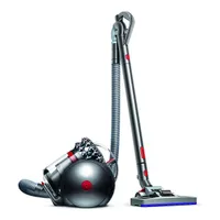Dyson Cinetic Big Ball Animal