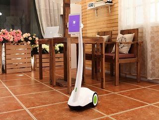 Home and Pet Surveillance Robot
