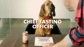 The job advert for Busch Dog Brew CTO